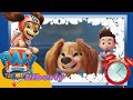 Paw patrol the movie liberty 2 minute toothbrushing timer 2021