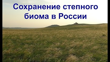 Лекция 25-7. Сохранение степного биома в России. Илья Смелянский
