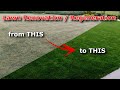 Lawn renovation  regeneration  fix an ugly lawn with best result after two weeks