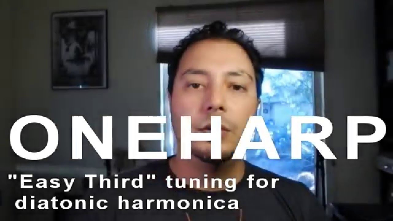 Introduction to the "Easy Third" tuning for diatonic ("Blues