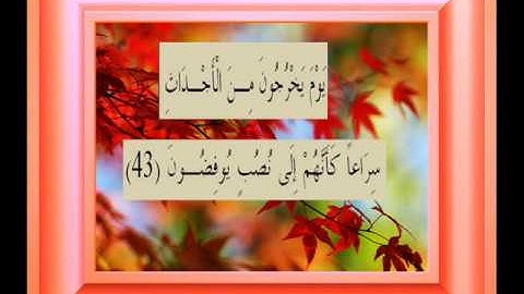 القران الكريم سورة المعارج الأية 43.wmv