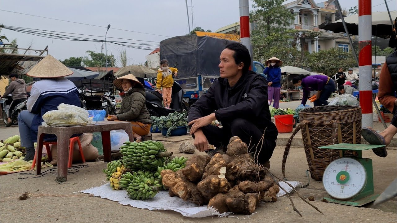Harvesting strange potatoes | Strange bananas brought to the market to sell | king kong amazon