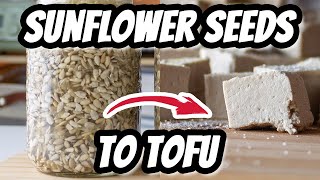 How to Make SUNFLOWER SEED TOFU! | Mary's Test Kitchen