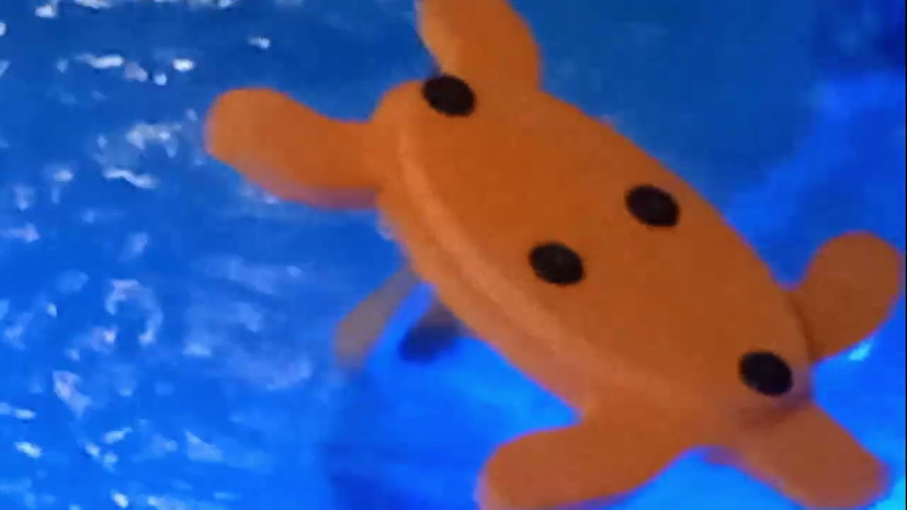 Impressionen Hallenbad