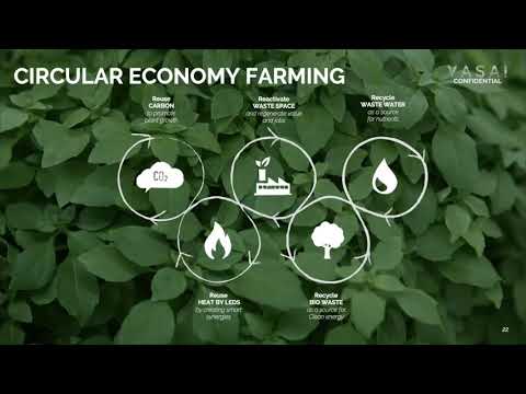 Video: Hydrilla Plant Information - Erfahren Sie, wie man Hydrilla-Pflanze-Unkräuter tötet
