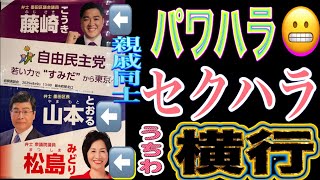 墨田区議会でパワハラ・セクハラが横行！自公都民ファ維新国民が調査委員会の設置を否決！被疑者が区長の親戚！墨田区の腐敗ぶりを周知する街宣 錦糸町駅北口 2025/6/16