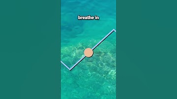 Heart Coherence Breathing Exercise (6-6)