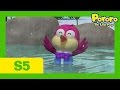[Season 5] E25 Harry And The Magical Spring Water | Kids Animation | Pororo the Little Penguin