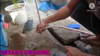 cleaning of aquarium pump and change filter