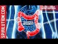 Healing music colon cleanser repair and energizing frequency formula