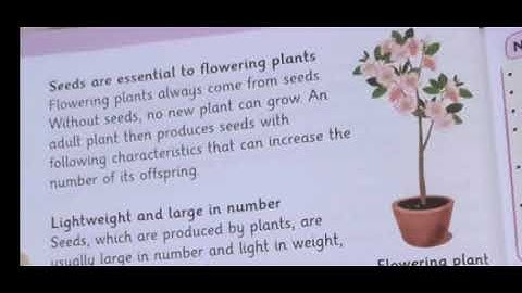 Afaq iqbal series new science grade 3 page 26 آفاق اقبال سیریز نیو سائنس کلاس 3 صفحہ نمبر