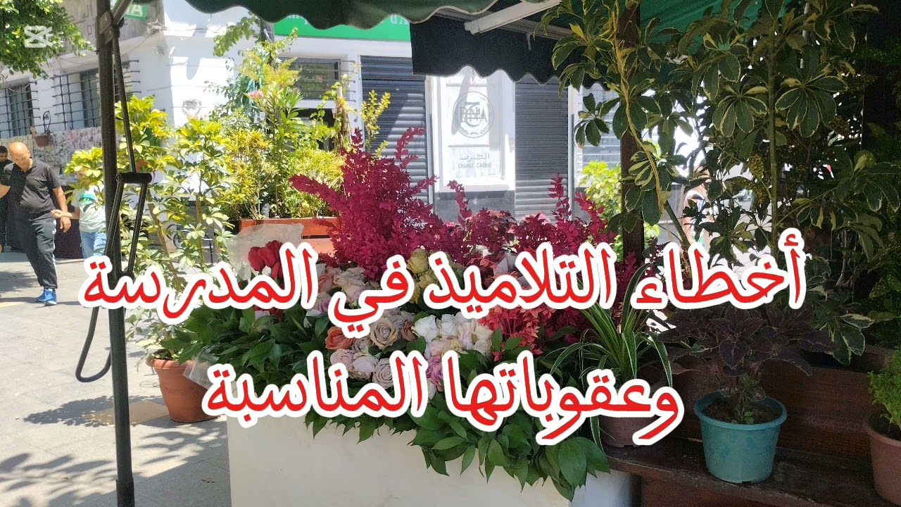 أخطاء التلاميذ في المدرسة وعقوباتها المناسبة 