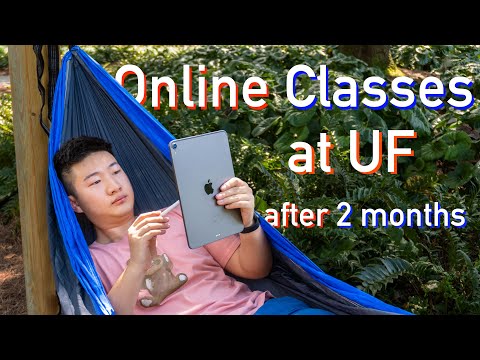 Online Classes at University of Florida after Two Month | did I survive?