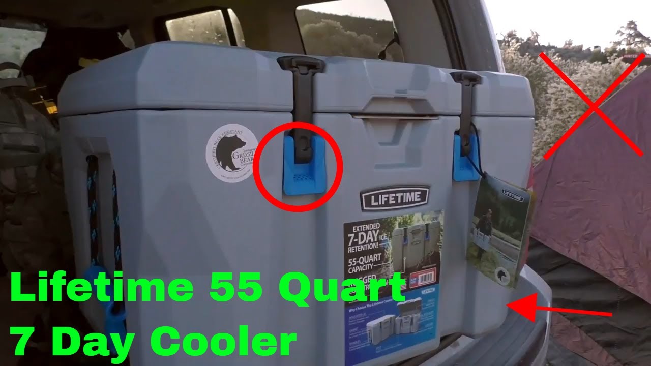 lifetime 77 qt cooler review