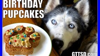 BIRTHDAY CUPCAKES for the DOG How to Dog Birthday Pupcakes Recipe DIY | Snacks with the Snow Dogs 33