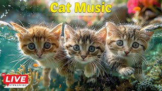 Soothing music that cats like  Music to lull cats to sleep, Video for cats, Relaxing music for cats