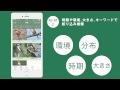 iOSアプリ『山溪ハンディ図鑑 日本の野鳥』