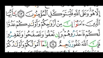 #قراءة وشرح أحكام التجويد لسورة ( التغابن ) آية رقم ( ١٤ ) وشرح المد المنفصل المعلمة رضى عبد العظيم