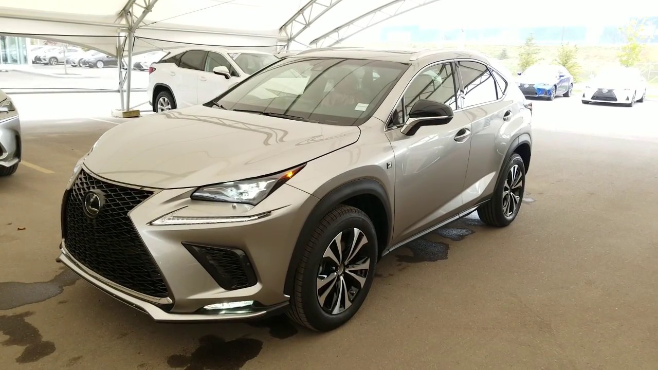 2019 Lexus NX 300 F Sport series 1 Lexus of Royal Oak