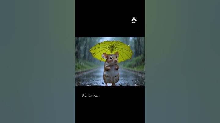 ‎"When You Gotta Go Out… Even in a Storm! 😂🐭☔️"‎ #cute #cutepic #shorts #ytshorts #rain #supercute