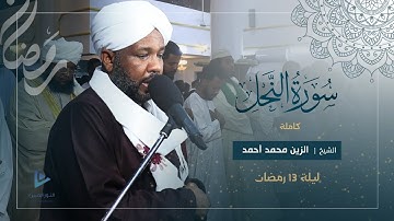 من أروع التلاوات ❤️‍🔥 | سورة النحل كاملة | تراويح رمضان 1446ه‍ | شيخ الزين محمد أحمد