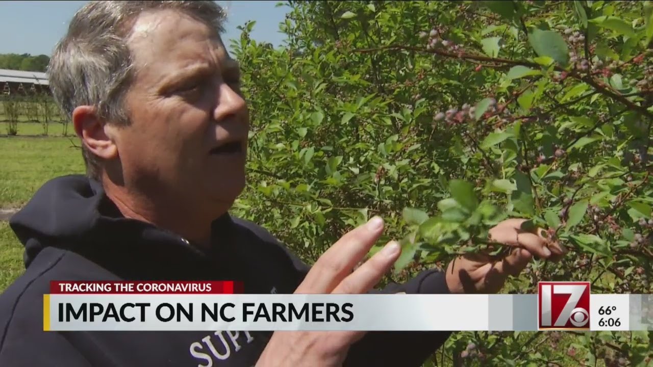 Small farms across Triangle experiencing financial loss from coronavirus pandemic