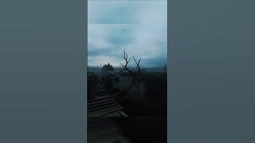 S.T.A.L.K.E.R Anomaly Custom #gameplay #stalker  #stalkeranomaly #stalker2 #gamma