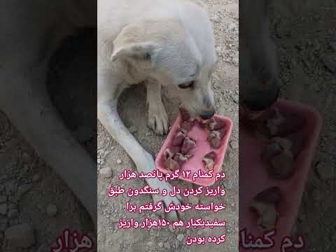 این آقا چون اسم بهم نمیگه من گمنام ۱۲ سیو کردم خدا به مالش برکت بده این دل و سنگدون با پول گمنام