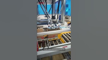 bagged food packaging