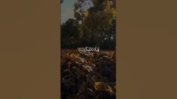 سورة الملك - الحمدلله حمدا كثيرا طيبا مباركا فيه