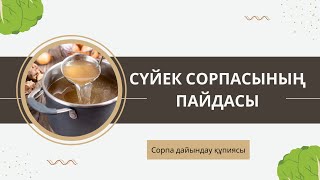 Сүйек сорпасы қандай ауруға ем? Сүйек сорпасын дайындаудың құпиясы😱😱