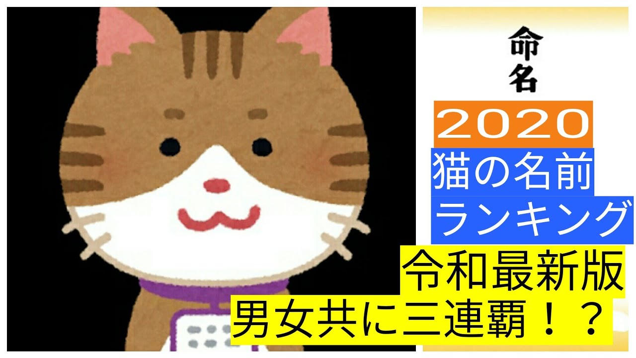 年 猫の名前ランキング 必見 令和最新版 男女共に三連覇 Youtube