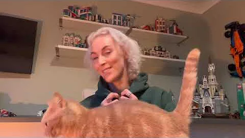 CWC advent day 4 CWC   SD 480p