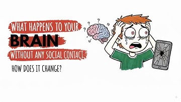Neuroscience explains: What Happens to Your Brain Without Any Social Contact