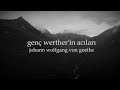 Genç Werther&#39;in Acıları - Goethe