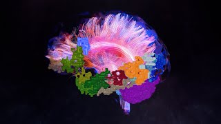 Transcranial Magnetic Stimulation (TMS) – Brain Mapping & Neurostimulation | Dr. Sachin Kandhari