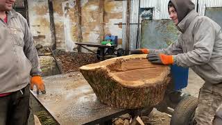 Massive Chunk Splitting: Our Strongest Tools vs. Hardest Wood
