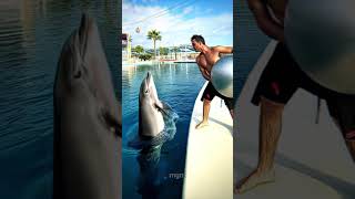 Dolphin knows 🐬🔥 #ronaldo #dolphin
