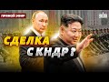 🔥Путин сдулся! Кадыров освобождает лошадей. РФ в заложниках КНДР | Давайте проверим / Прямой эфир