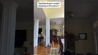 Squidward Gets Caught Sleeping On The Job