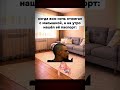 ОТЖИГАЛ С МИЛФОЙ!!