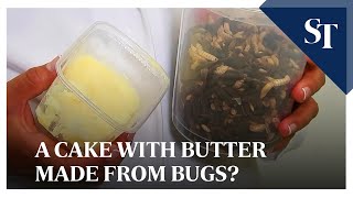 Belgian researchers make a cake with butter made from bugs