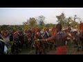 Bull Jumping Ceremony - Omo Valley Ethiopia