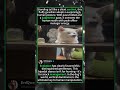 This Dog Thinks He’s the BOSS! 🐕💼 (Funniest Standing Pose Ever)