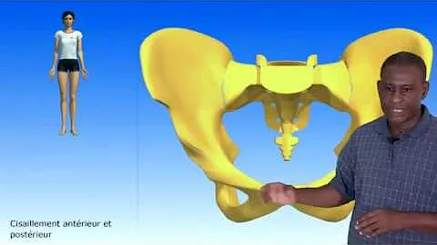 Quel structure anatomique est situé devant la symphyse pubienne ?