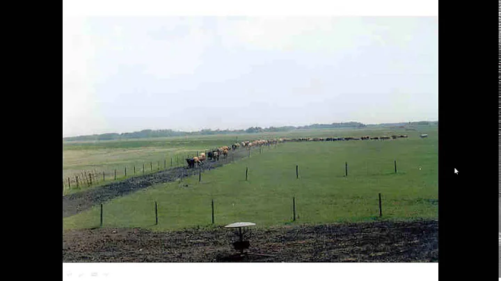 Cattle Chat 2013 14 Apr 16 2014