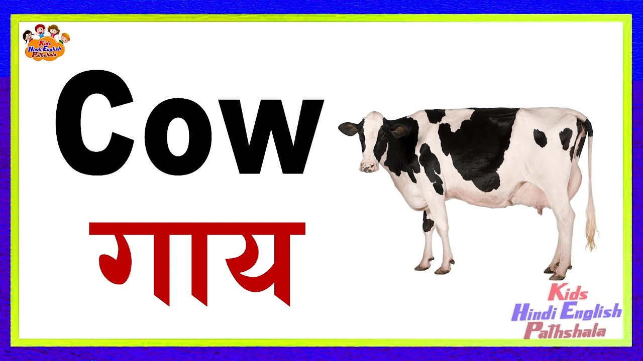10 Pet Animal Name , 10 Fruits Name , 10 Vegetable Name Video JukeBox l