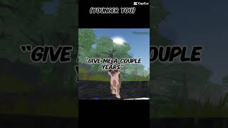 Roblox Pride Up