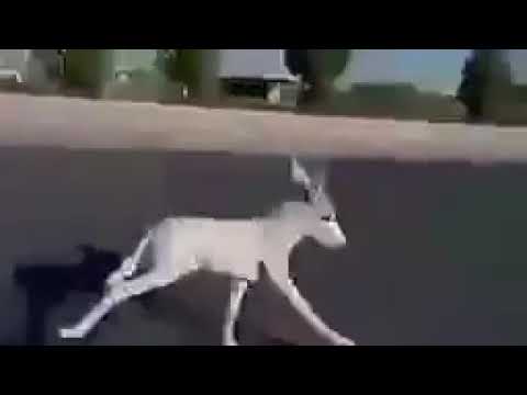 لما يبقي لسا سيلز جديد و نفهمه ان تارجت القسم معتمد عليه