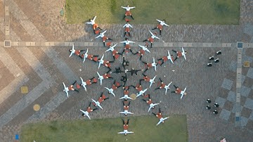 OK Go - I Won